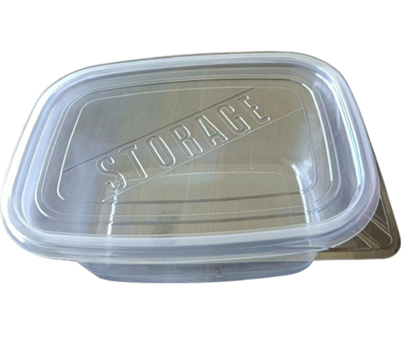Bio-degradable disposable food container